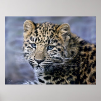 Leopard Cub Print