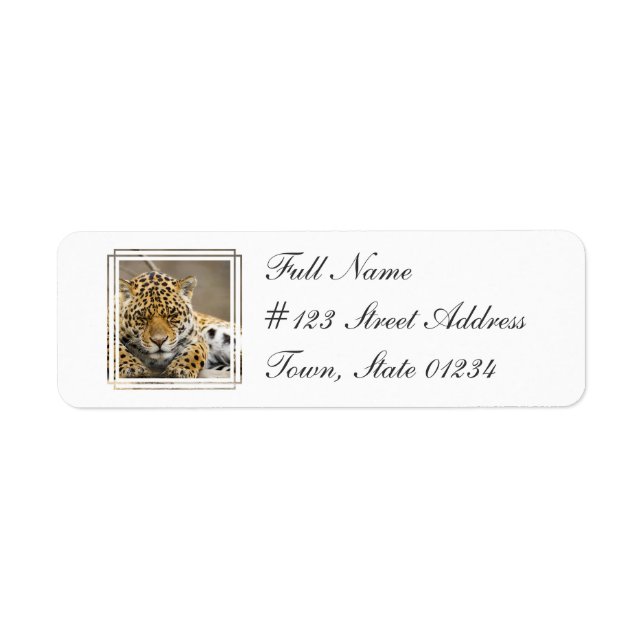 Leopard Cub Return Address Mailing Label (Front)