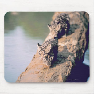 Leopard cubs on log mouse mat