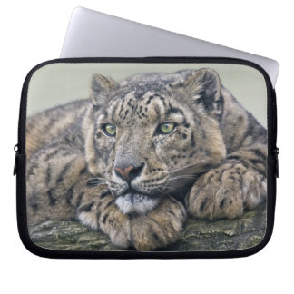 Leopard Dreaming Laptop Sleeve