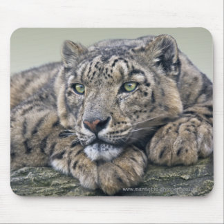 Leopard Dreaming Mousemat