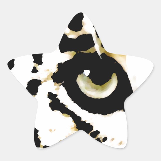 Leopard Eye Star Sticker (Front)