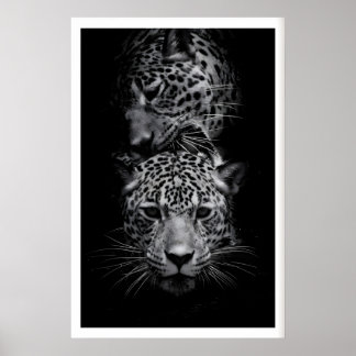 Leopard Faces Print Black and White Wildlife Art