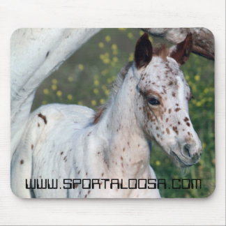 Leopard Filly Mouse Mat