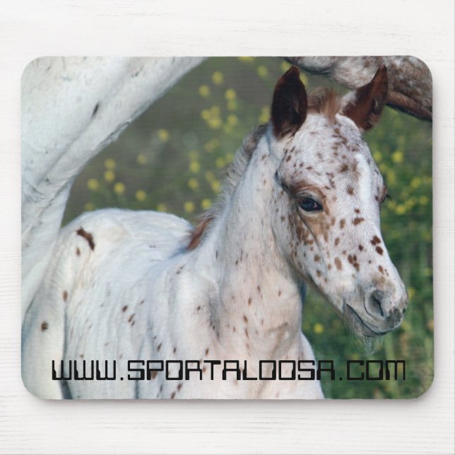 Leopard Filly Mouse Mat (Front)