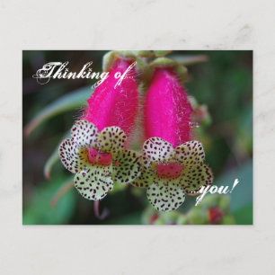 Leopard Flower Design Postcard