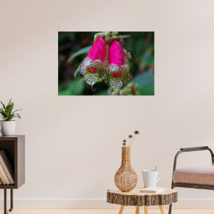 Leopard Flower Design Poster