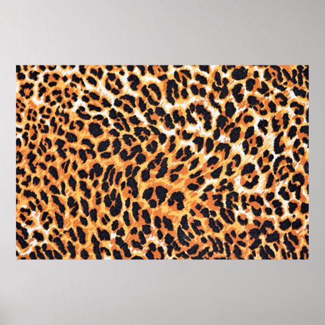 leopard fur as backgroundleopard,pattern,print,ski poster (Front)