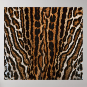 Leopard Fur Background Vintage Texture Poster