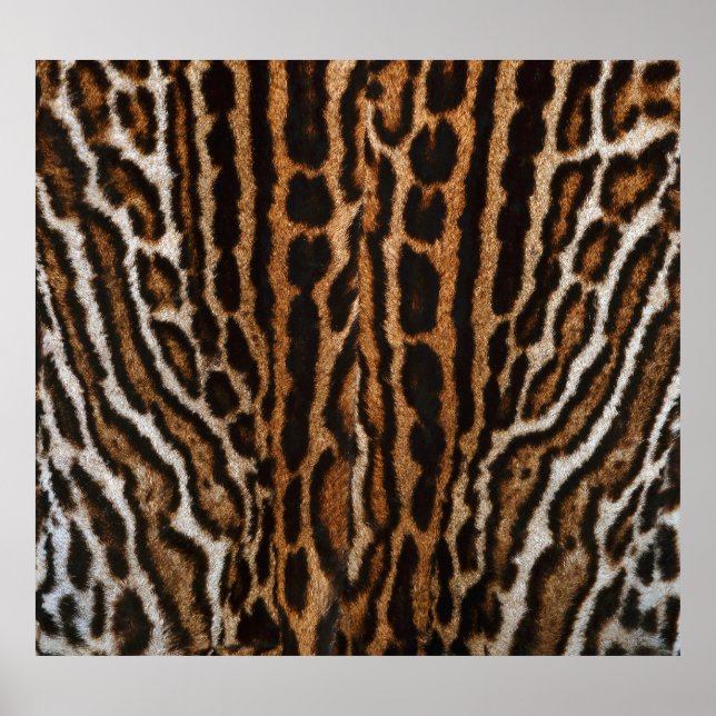 Leopard Fur Background Vintage Texture Poster (Front)