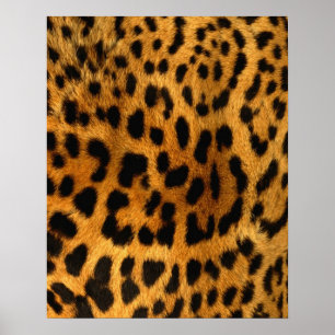 Leopard Fur Print