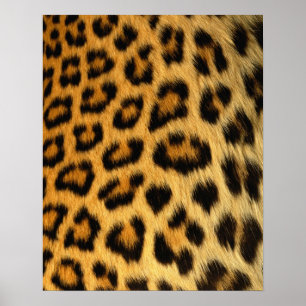 Leopard Fur Print