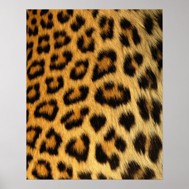 Leopard Fur Print (Front)