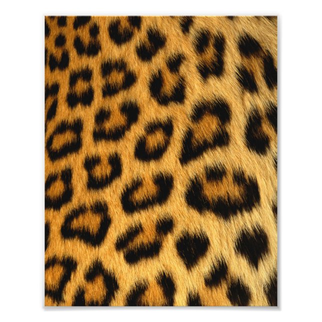 Leopard Fur Print (Front)