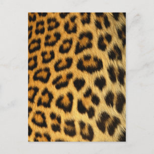 Leopard Fur Print Postcard