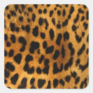 Leopard Fur Print Square Sticker