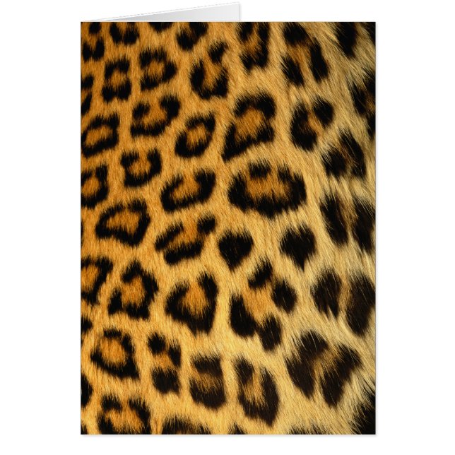 Leopard Fur Wildlife Cards Series (Front)