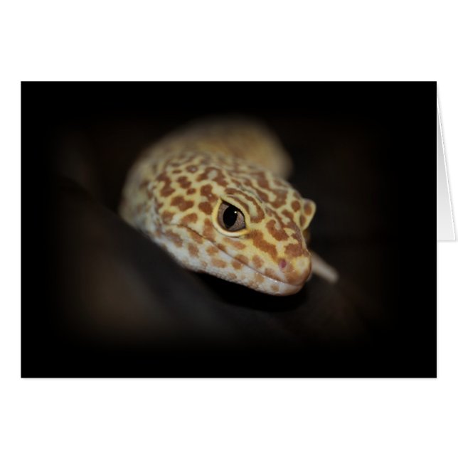 Leopard Gecko Card (Front Horizontal)