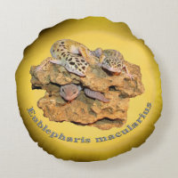 Leopard gecko design for all!