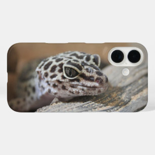 Leopard Gecko Eyes Mouth Face Close Up iPhone 16 Case