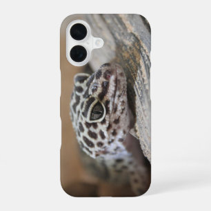 Leopard Gecko Eyes Mouth Face Close Up iPhone 16 Case