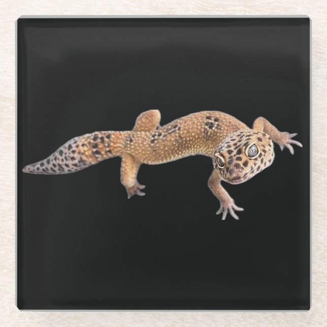  Leopard Gecko  Glass Coaster (Front)