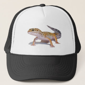Leopard Gecko Hat