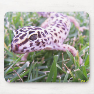 Leopard Gecko Mouse Mat