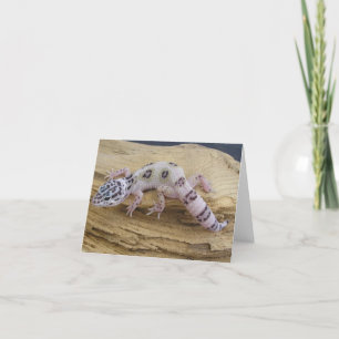 Leopard Gecko Note Card