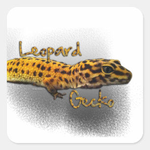 Leopard Gecko Sticker