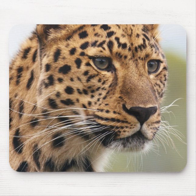 Leopard Head Shot Mouse Mat (Front)