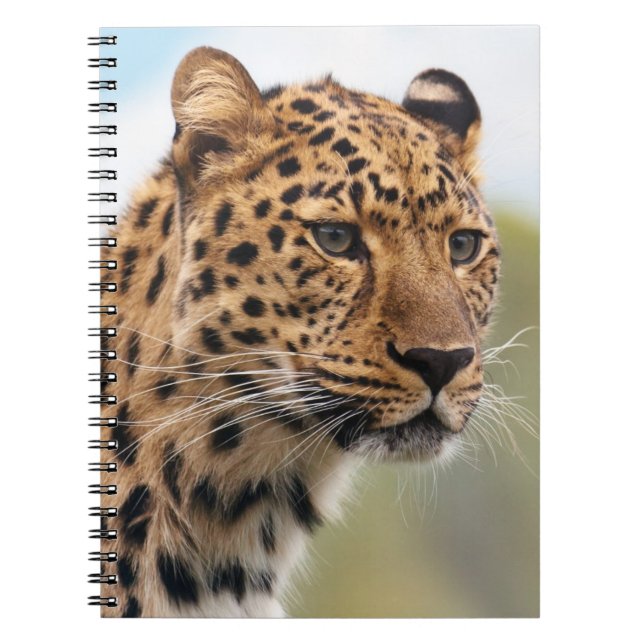 Leopard Head Shot Notebook (Front)