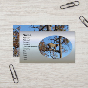 Leopard in a Tree in Africa Business Card