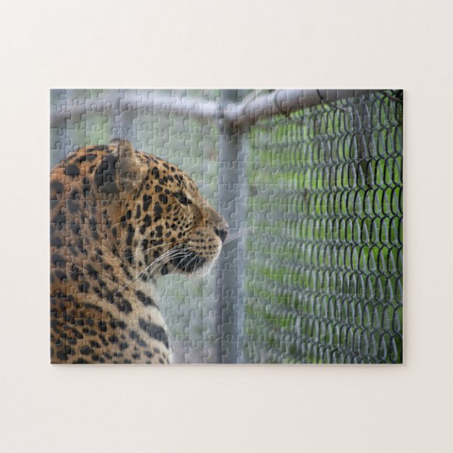 Leopard in Cage Jigsaw Puzzle (Horizontal)