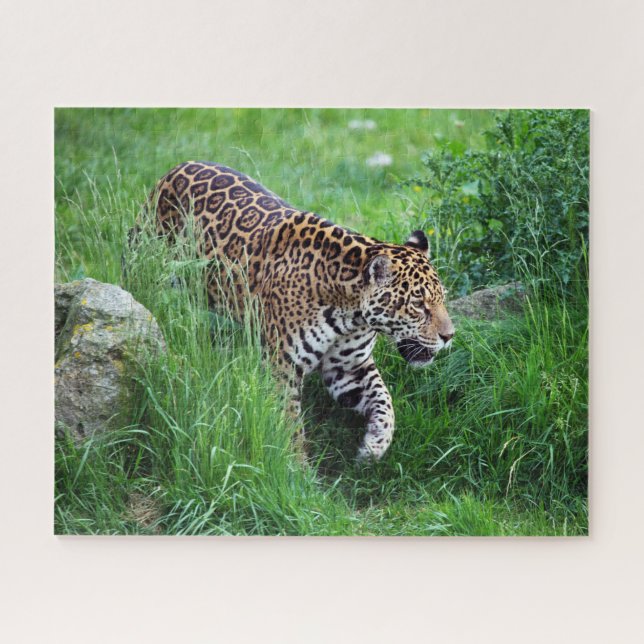 Leopard in grass Puzzle (Horizontal)