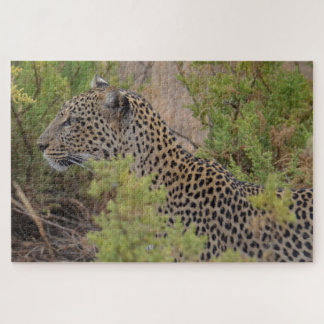 Leopard in Kenya Africa Puzzle