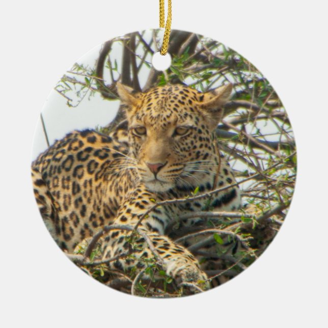 Leopard in Tree Ceramic Tree Decoration (Front)