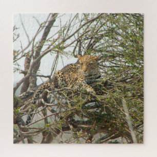 Leopard in Tree Jigsaw Puzzle
