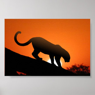 Leopard in tree poster