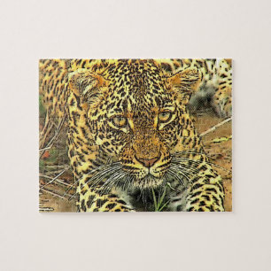 Leopard Jigsaw Puzzle
