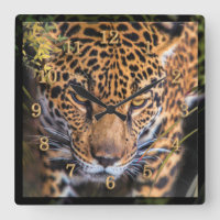 LEOPARD JUNGLE ENCOUNTER