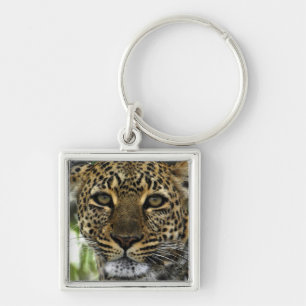 leopard key ring