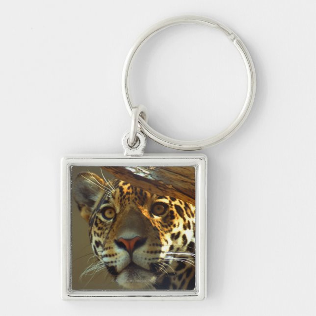 Leopard Key Ring (Front)