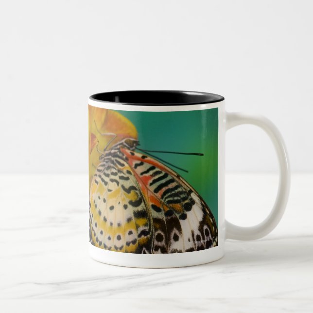 Leopard Lacewing tropical butterflies (Cethosia Two-Tone Coffee Mug (Right)