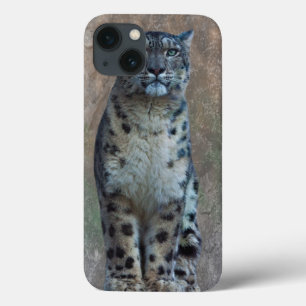 Leopard Lookout iPad Case