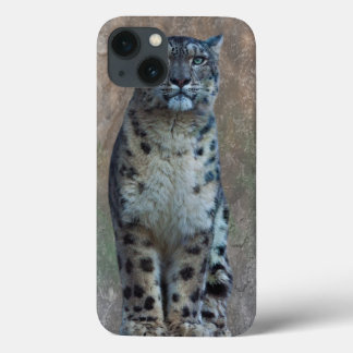 Leopard Lookout iPad Case