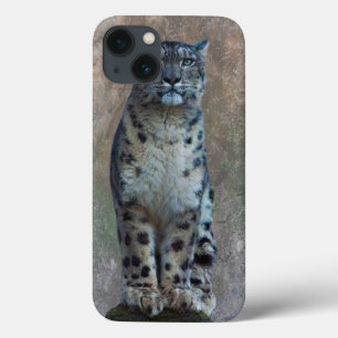 Leopard Lookout iPad Mini Case