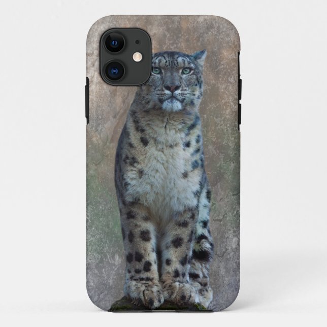 Leopard Lookout iPhone 5 Case (Back)