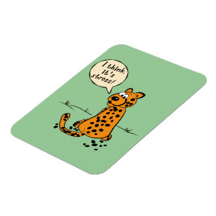 Leopard losing spots - I think it's stress Magnet