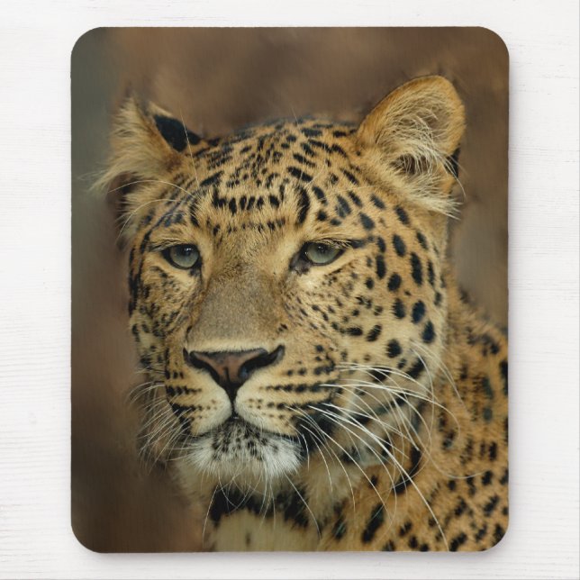 leopard lovers art mouse mat (Front)